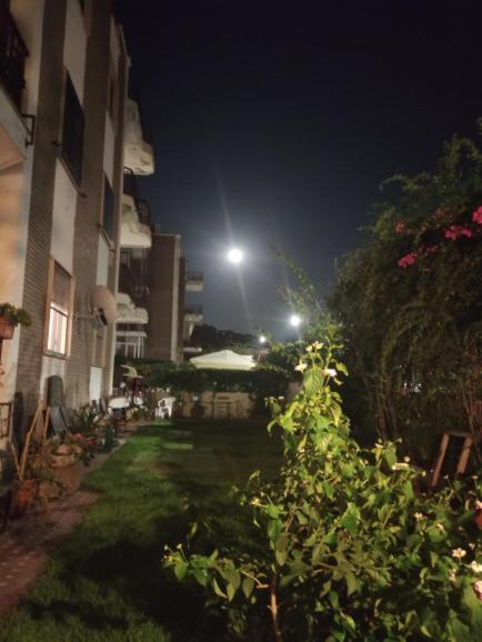 Il Giardino Di Anna - Charming Rooms In Cagliari Exteriör bild